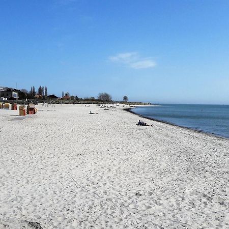 Fewo Muschelgetuschel Im Prinz Hamlet - Direkte Strandlage Pelzerhaken Eksteriør billede